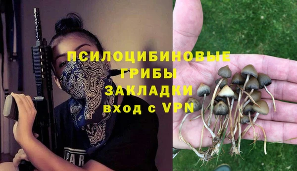 Альфа ПВП Беломорск