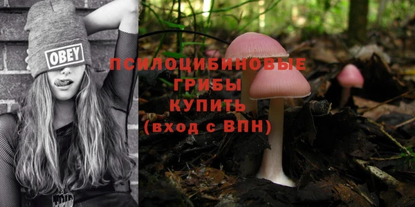 кокаин колумбия Белокуриха